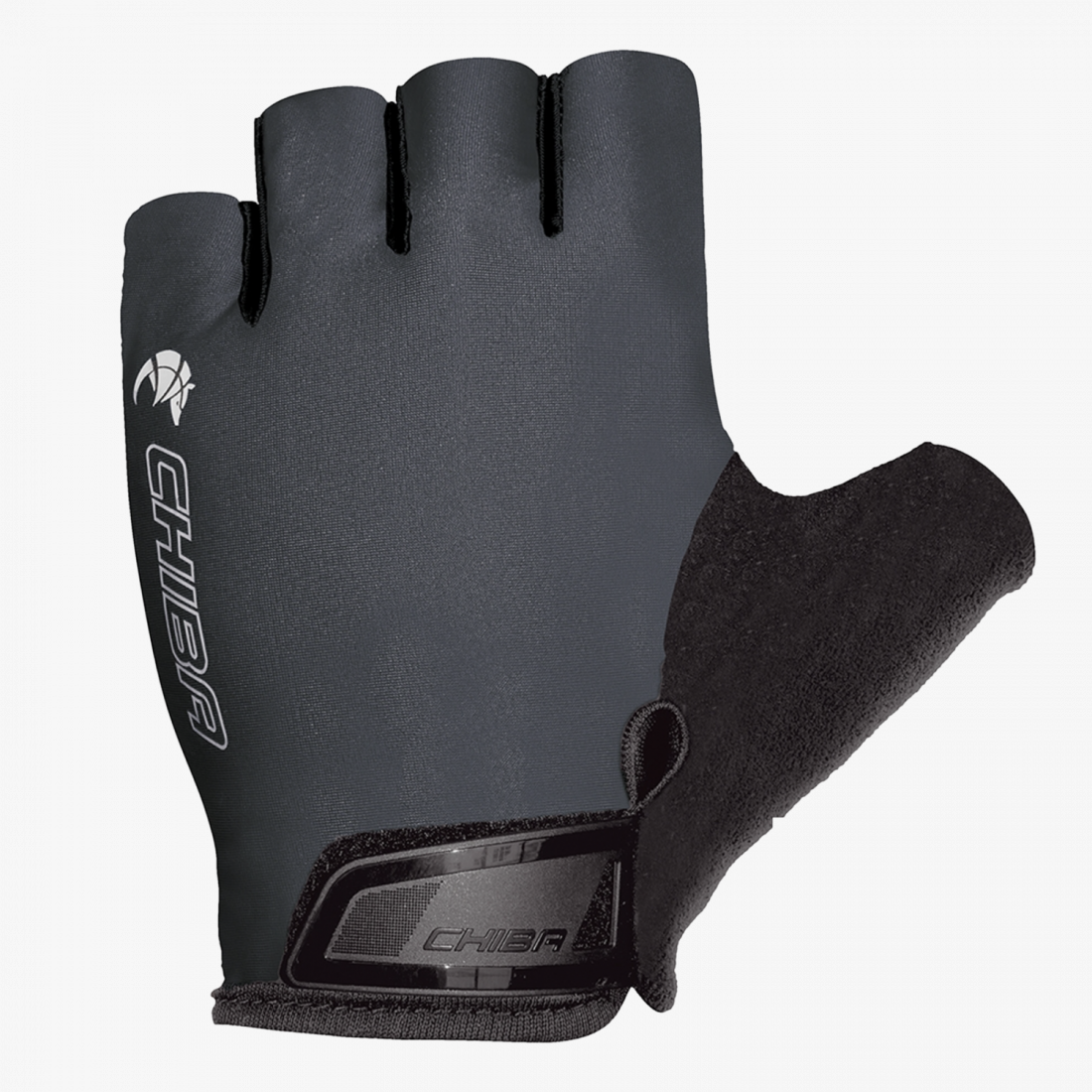 Chiba - 40428 Allround