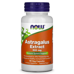 Now Foods - Astragalus Extract 500 mg