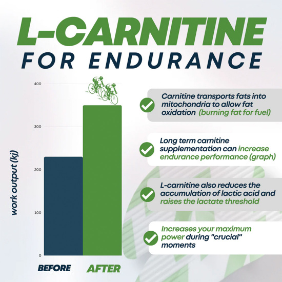 benefits l carnitine Acetyl-L-Carnitine, 500 mg, 60 Veggie Capsules