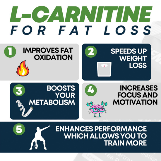 l carnitine proven benefits L-Carnitine: Benefits & Supplementation main image 1