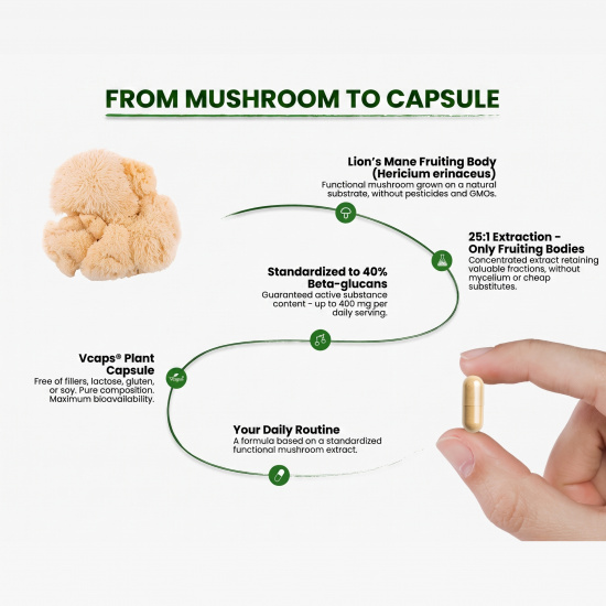 HIRO.LAB - Lion’s Mane Extract