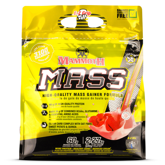 Interactive Nutrition Mammoth Mass Tru Fit
