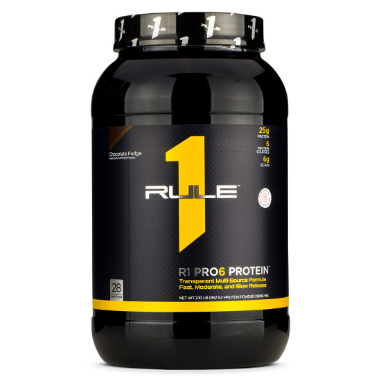 Rule 1 - R1 Pro6 Protein
